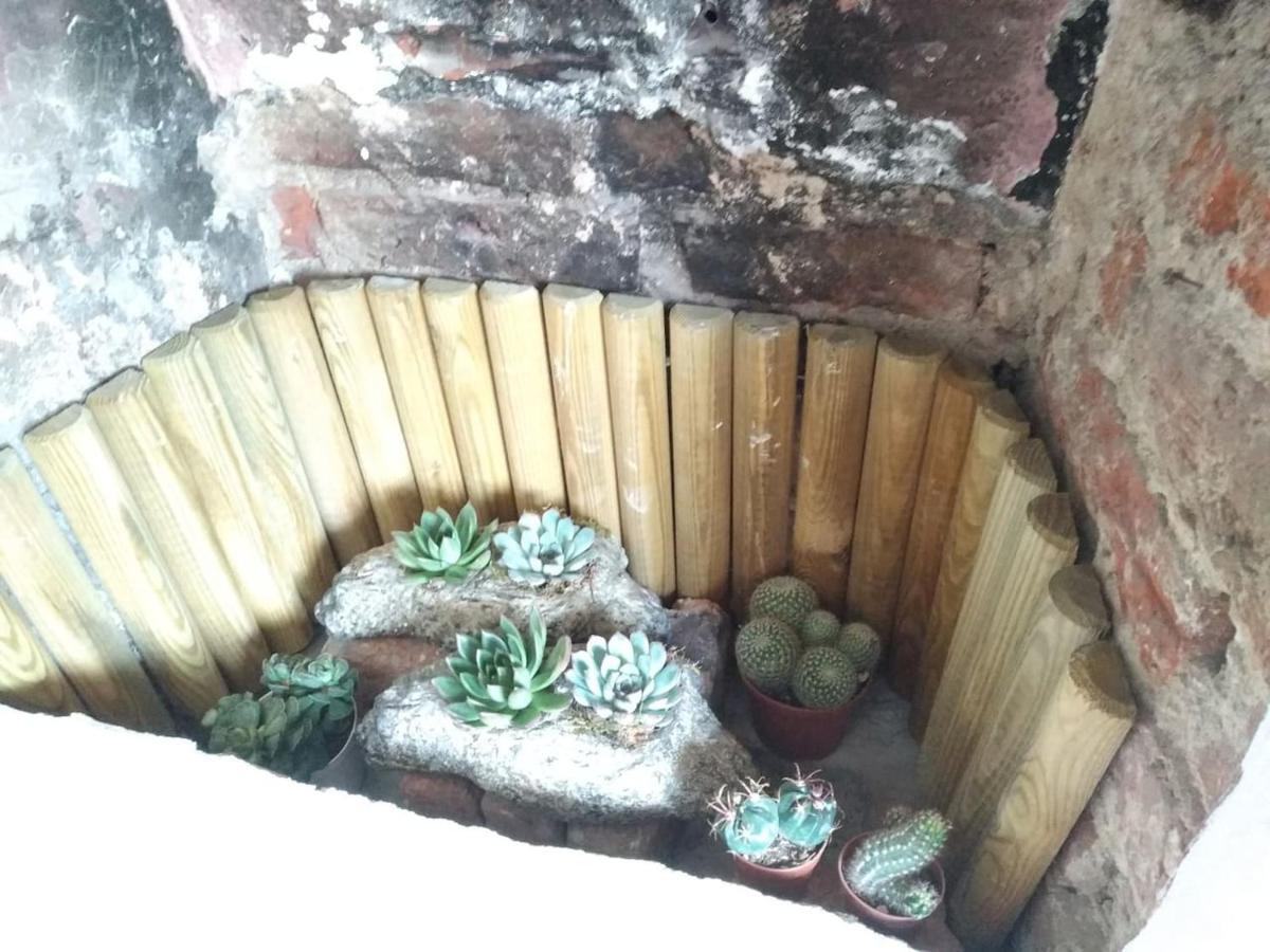 Mansarda Al Valentino Apartamento Turim Exterior foto